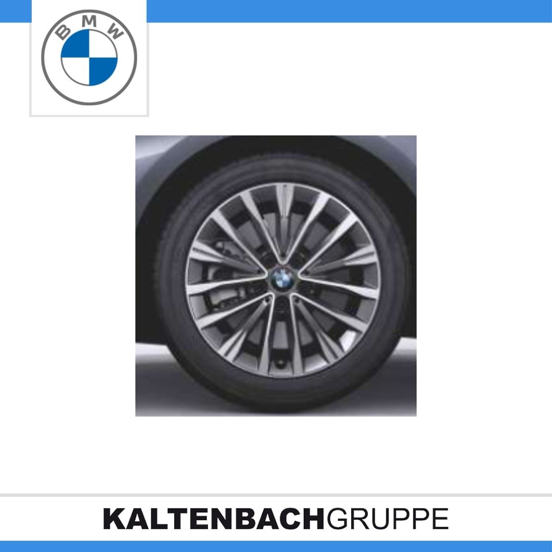 Vielspeiche 547 -2.jpg